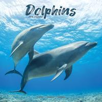 Dolphins Calendar 2026 Square Animal Wall Calendar - 16 Month