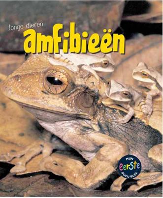 Amfibieen - Rod Theodorou - Hardcover (9789055665327)