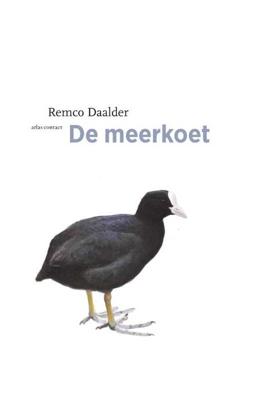 De meerkoet - Remco Daalder - Paperback (9789045030258) De meerkoet - Remco Daalder - Paperback (9789045030258)