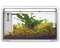 Superfish Home 30 Aquarium - LED & Filter Wit Design - Ideaal voor Beginners - Plug-and-Play Gemak