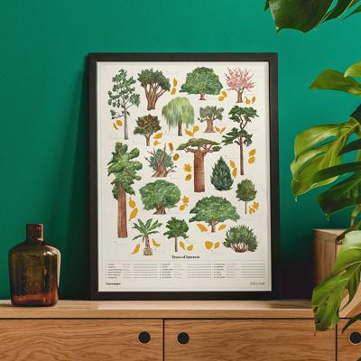 The Chartologist Poster - Bomen The Chartologist Poster - Bomen