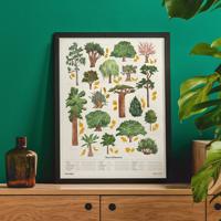 The Chartologist Poster - Bomen