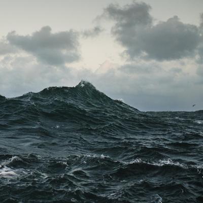 Repave - LP (0656605223810)