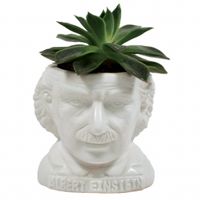 UPG Planter - Albert Einstein
UPG Planter - Albert Einstein