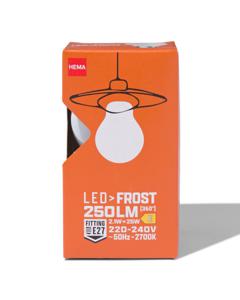 HEMA Led Peer Glass Frost E27 2.1W 250lm