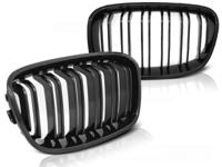 Tuning-Tec Grill BMW F20 F21 11-12 14 GLANZEND ZWART DUBBELE STANG M-LOOK