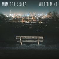 Wilder Mind - LP (8717931327091)