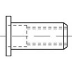 TOOLCRAFT TO-5455158 Popmoer M6 250 stuk(s)