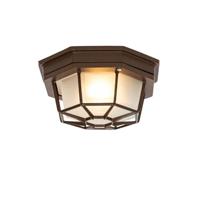 QAZQA - Landelijke plafondlamp roestbruin 21,3 cm IP44 - Bri | Buitenverlichting - Aluminium Rond - E27 Geschikt voor LED - Max. 1 x 60 Watt