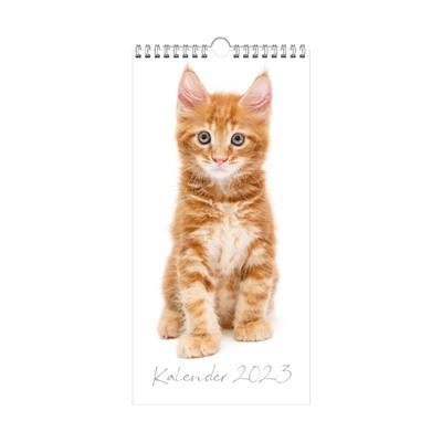 Minikalender Katten 2023 - Spiraalgebonden (8719231160231)