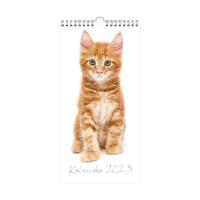Minikalender Katten 2023 - Spiraalgebonden (8719231160231)
