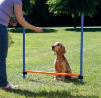 TRIXIE 3207 dog/cat agility equipment Hond Set behendigheidsuitrusting Blauw, Oranje Kunststof 3 stuk(s)