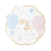 Feestbordjes - 8x - geboorte - gender reveal - 8-zijdig - rond - roze en blauw - karton - 20 cm