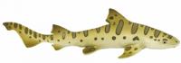 Safari speeldier luipaardhaai junior 14 x 3 cm groen/geel