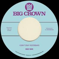 I Don't Envy Yesterdays - 7 inch Vinyl;7 inch Vinyl (0349223011616)