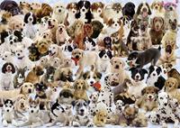 Dogs Galore! 1000 PC Puzzle