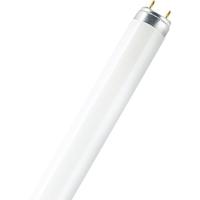 OSRAM TL-lamp Energielabel: G (A - G) G13 36 W Warmwit Buis (Ø x l) 26 mm x 1213.6 mm 1 stuk(s) - thumbnail