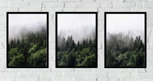 Posters - Bos in de Mist / Set van 3