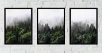 Posters - Bos in de Mist / Set van 3 - thumbnail