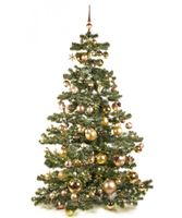 Basic Tree Golden Mocca 210cm