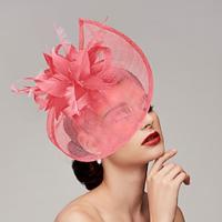 fascinators Veren Netto Schotel Hoed Bruiloft Paardenrace Damesdag Melbourne Cup Met Veer Pet Helm Hoofddeksels Lightinthebox