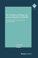 De strafbaarstelling van mensenhandel ontrafeld - L.B. Esser - ebook - thumbnail