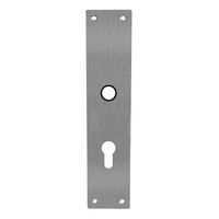 Intersteel renovatieschild rechthoekig 250x55x2mm profielcilindergat 72mm - RVS - thumbnail