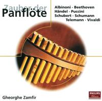 Zauber Der Panflote - CD (0028946248126)