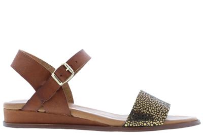 Red Rag 79374 759 cognac fant multi bruin 