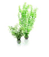 biOrb Winter Bloemenset 2