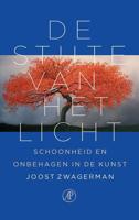 De stilte van het licht - Joost Zwagerman - eBook (9789029538824)