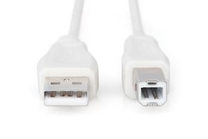 Digitus USB-kabel USB 2.0 USB-A stekker, USB-B stekker 3.00 m Beige AK-300102-030-E