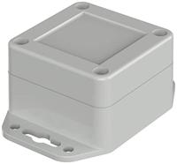 Bopla Euromas X, XT 060604 WL 7035 07806064 Flansch-box ABS light grey (RAL 7035) 1 pc(s)