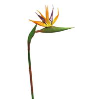 Kunstbloem Strelitzia/paradijsvogelplant  - 58 cm - losse steel - kunst zijdebloem - thumbnail