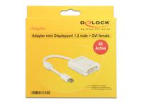 DeLOCK 62604 mini Displayport 1.2 DVI-I 24+5 Wit kabeladapter/verloopstukje - thumbnail