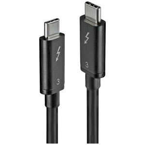 LINDY USB-kabel USB 3.2 Gen1 (USB 3.0 / USB 3.1 Gen1) USB-C stekker, USB-C stekker 0.50 m Zwart 41555