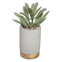 Atmosphera vetplant kunstplant in pot van cement grijs 20 cm