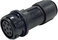 Bulgin PXP4011/12P/6065 Ronde connector Stekker, recht Totaal aantal polen: 12 Serie (ronde connectors): Buccaneer 4000