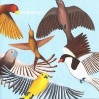 Looks At The Bird - CD (0790377012026)