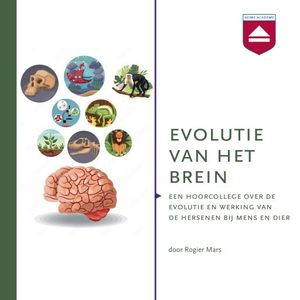 Evolutie van het brein