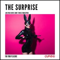 The Surprise - and other erotic short stories from Cupido - thumbnail