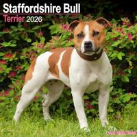 Staffordshire Bull Terrier Calendar 2026 Square Dog Breed Wall Calendar - 16 Month