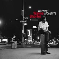 Wayning Moments - LP (8436569193341)