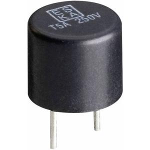 ESKA 885007 885007 Buiszekering Radiaal bedraad Rond 0.1 A 250 V Snel -F- 1 stuk(s)