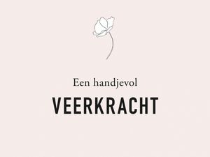 Liz is more - Boek 'Een handjevol Veerkracht' - Boek 'Een handjevol Veerkracht'