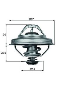 Thermostaat, koelvloeistof TX2892D