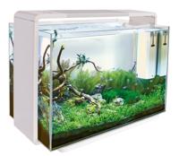 Home 110 Wit - Aquascaping Aquarium