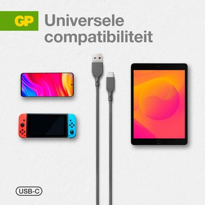 GP USB-laadkabel USB 2.0 USB-A stekker, USB-C stekker 1.00 m Grijs GPCBCC1NGYUSB191