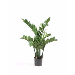 Kunstplant Zamioculcas/kamerpalm 70 cm