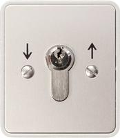 Kaiser Nienhaus 322120 Torantrieb Schlüsselschalter Aufputz